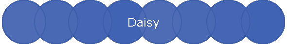 Daisy